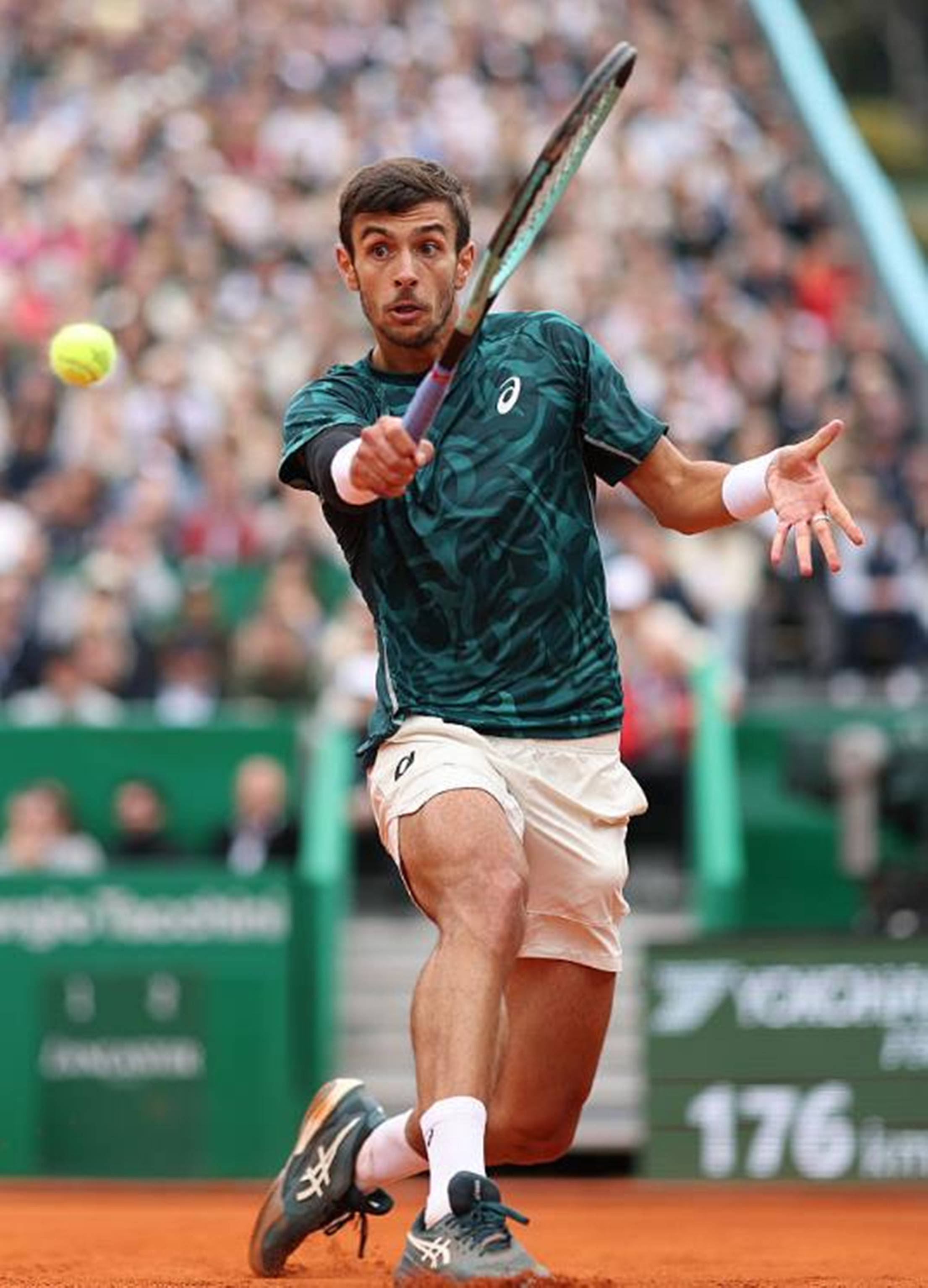 的三分球 的三分球